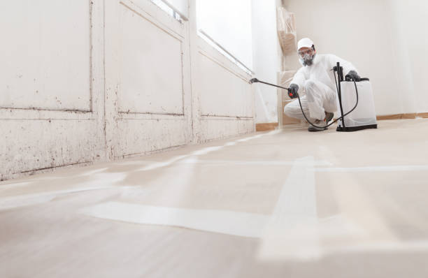24/7 Emergency Mold Inspection experts in Mineola, TX